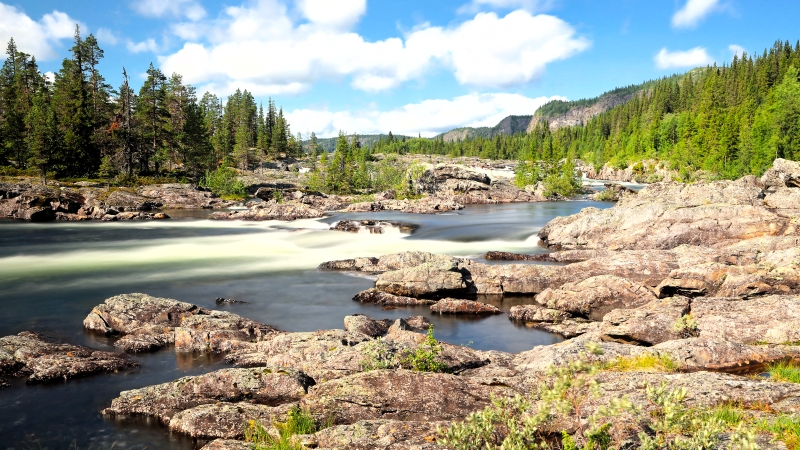 Frukost, lunch och middag